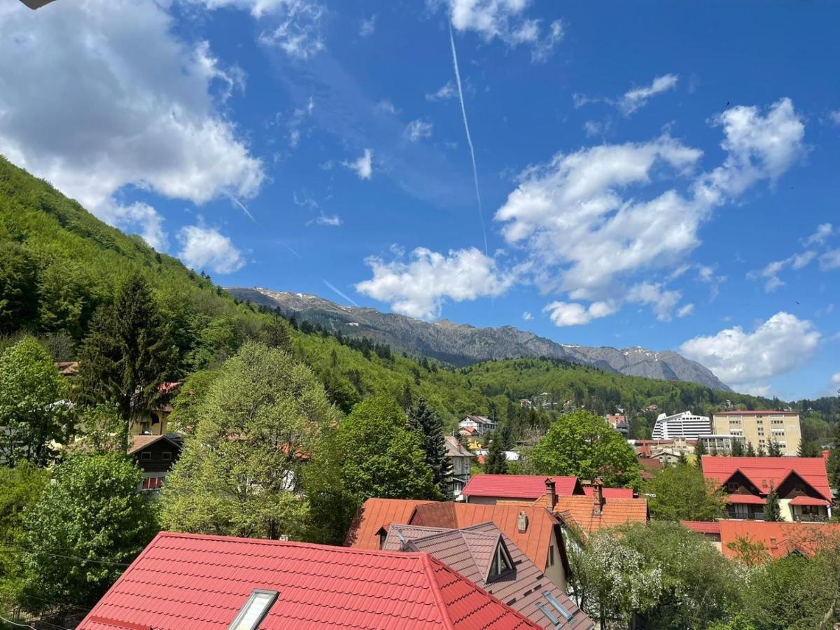 Mountain View Apartment Sinaia Exterior photo